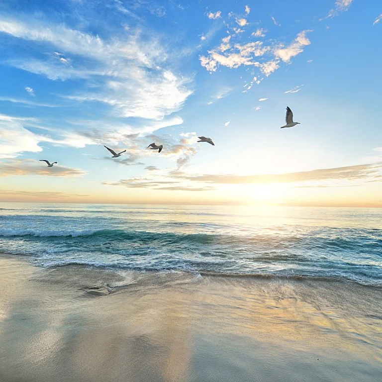 Trouver un billet abordable pour un vol Lyon-Oran